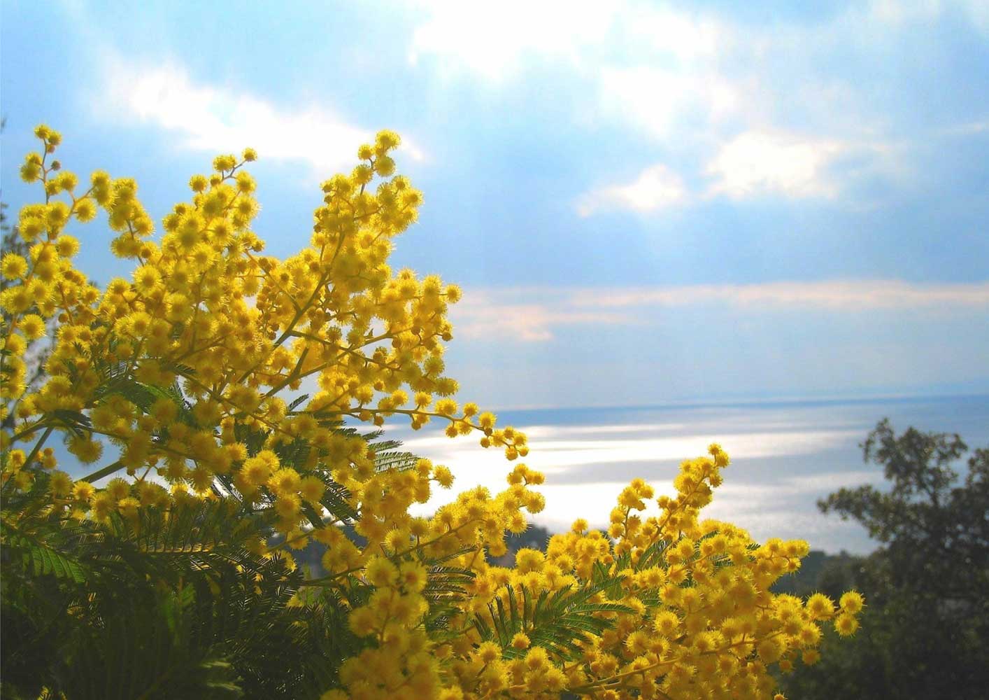 Résidence du Bailli