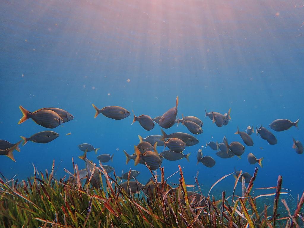 Résidence du Bailli